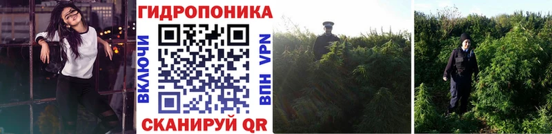 Где найти наркотики Озёрск COCAIN  Альфа ПВП  МЕФ  Амфетамин  Конопля  ГАШИШ 