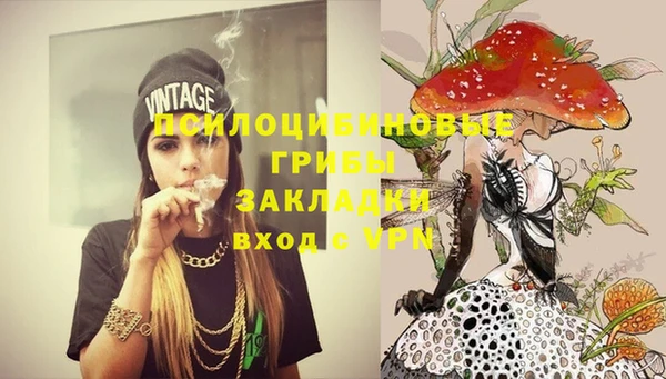 spice Арсеньев