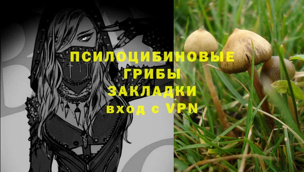 прущие крисы Аркадак