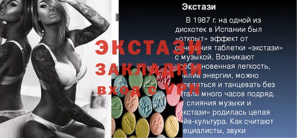 гашик Богородск
