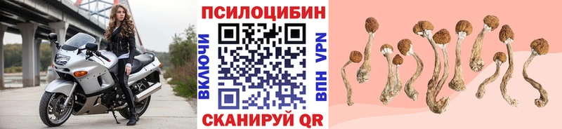 Галлюциногенные грибы Magic Shrooms  Озёрск 